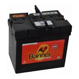 Batterie Banner 30 AH - V50 - V65 - 850 - 1000 -1100