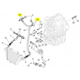 Joint durite huile radiateur Moto Guzzi 976597