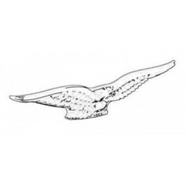Sigle réservoir Aigle Argent Droit Sigle réservoir Aigle Argent Droit