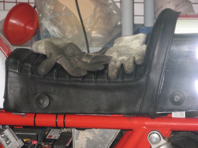 GANTS